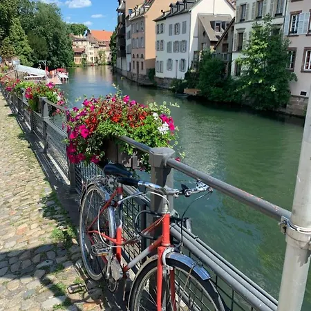 Lovely Center Of Appartement *