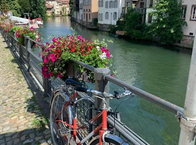 Lovely Center Of דירה *